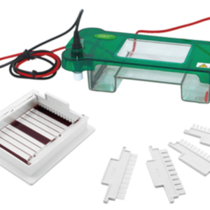 FSF-SPBT Horizontal Electrophoresis