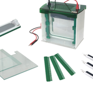 FSF-CZ-BL Rapid SSR vertical electrophoresis tank