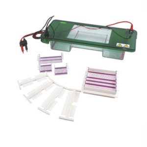 FSF-SPCT Horizontal Electrophoresis Cell