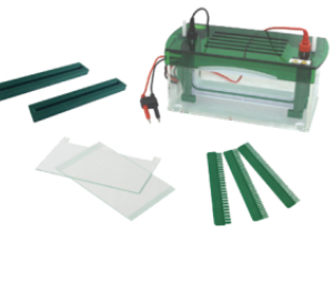 FSF-CZ-B Rapid SSR Vertical Electrophoresis