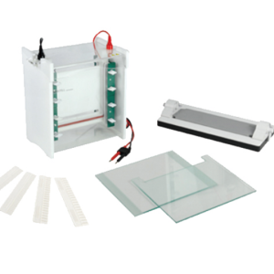 FSF-SCZ6+ Vertical Electrophoresis Tank