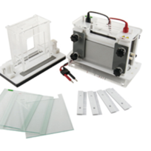 FSF-SCZ9 Vertical Electrophoresis gel tank
