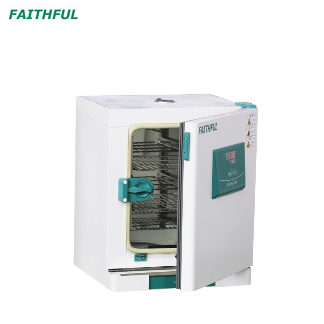 Constant-Temperature Incubator DH-BII - Image 2