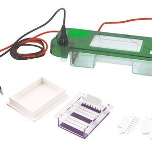 FSF-SCZ2+Mini-Protean Vertical Electrophoresis Cell