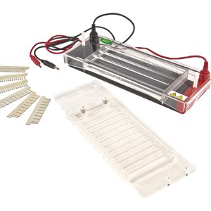 FSF-SP7/SP7A Cellulose Acetate Membrane Electrophoresis