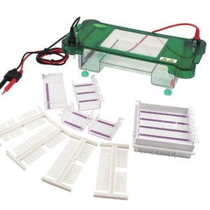 FSF-SPDT Horizontal Electrophoresis