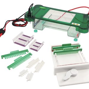 FSF-SPFT Horizontal Electrophoresis Cell