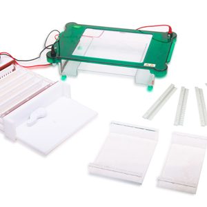 FSF-SPGT Horizontal Electrophoresis Cell