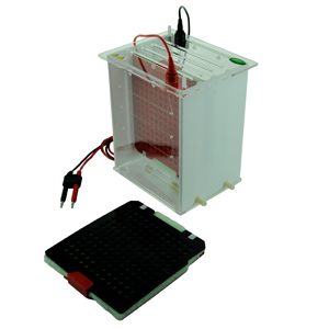 FSF-ZY Tank Transfer System